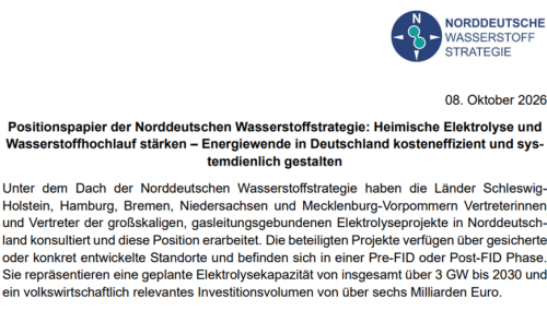081026_NdWS_Positionspapier_systemdienliche Elektrolyse